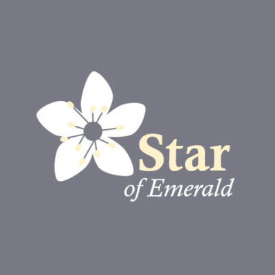 Star of Emerald Jeweller