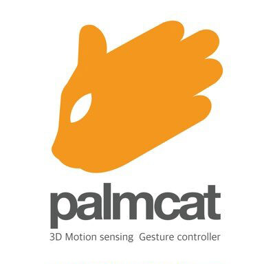 Palmcat Corp